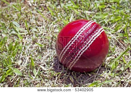 Bright Red Cricket Ball On Patchy Grass Lawn
