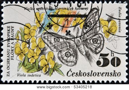 A Stamp printed in Czechoslovakia shows image of a eudia pavonia and viola sudetica