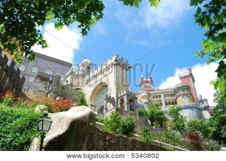 แห่งชาติพาของพีซินทรา โปรตุเกส