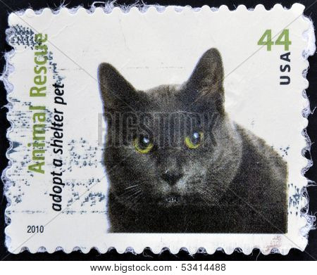 A stamp printed in USA dedicated to animal rescue adopt a shelter pet shows a cat