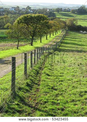 Fence And Tree Lined Track Landscape