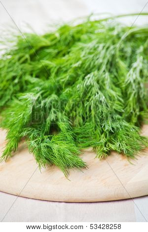 fresh greens dill on boad