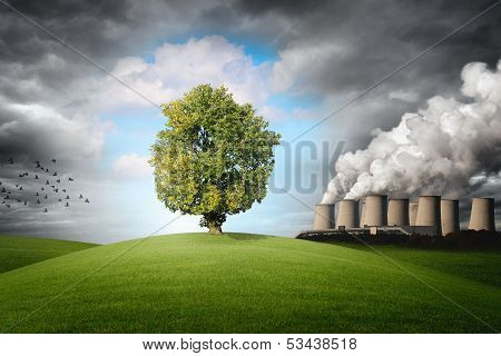 Pollution Of The Environment