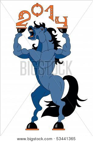 Horse Bodybuilder