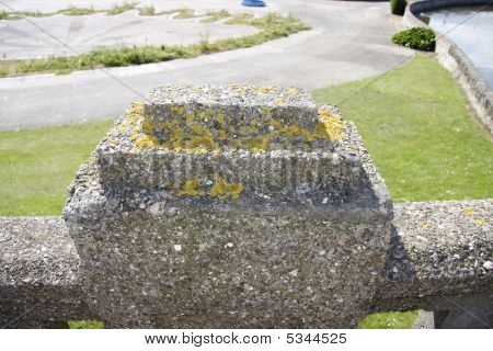 Sammal kasvaa betoniseinään