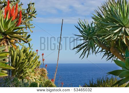 Paradise View