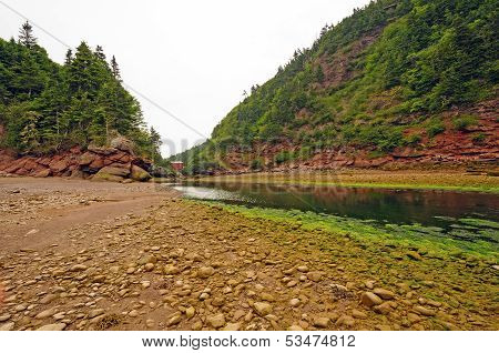 Coastal Fog And Rocks At Low Tide