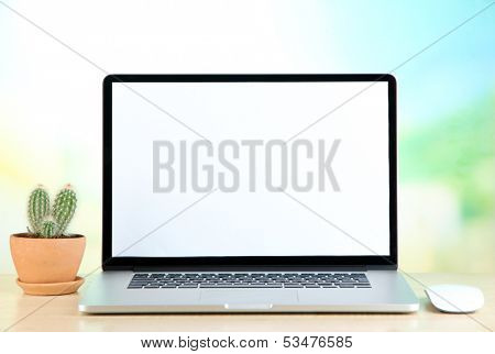 Laptop and cactus in flowerpot on wooden table