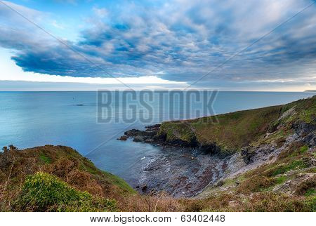 Gribbin Head