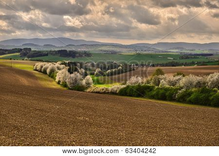 April afternoon