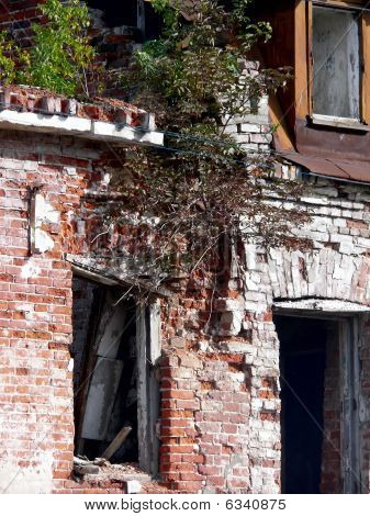 Ruins. Arkhangelsk.