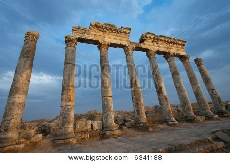 Aphamia