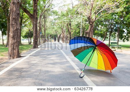 Multicolored Umbrella On The Sidewalk.
