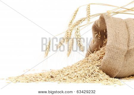 Sack with grains and ear of wheat.