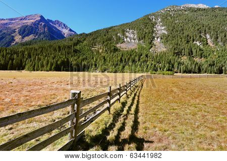 Alpine Valley in Austria. National Park Krimml waterfalls. Scenic farm fields blocked by the wooden fence. Steep mountain slopes overgrown with coniferous forests