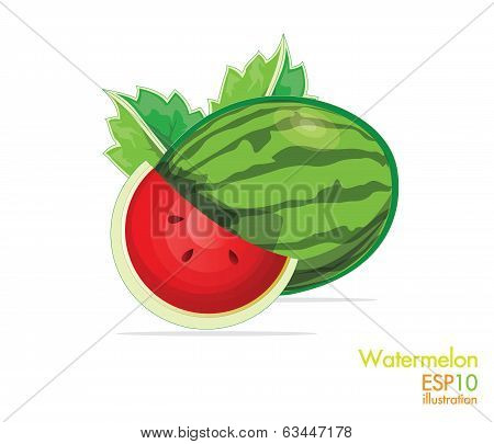 Watermelon - Illustration
