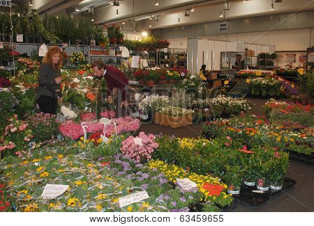 Plant Stall