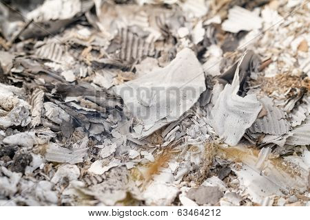 Burnt Paper