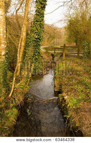 Tehidy Country Park Cornwall England UK near Camborne and Redruth with woodland and lakes