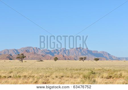 Grass And Mountain Landscape