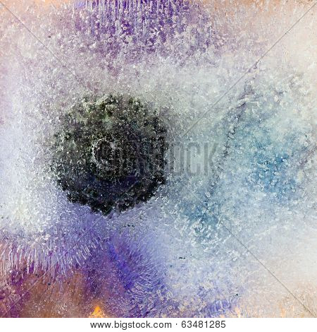 Frozen Flowers