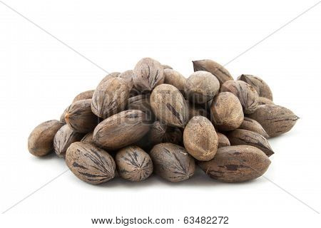 Pile Of Newly Harvested Brown Pecan Nuts