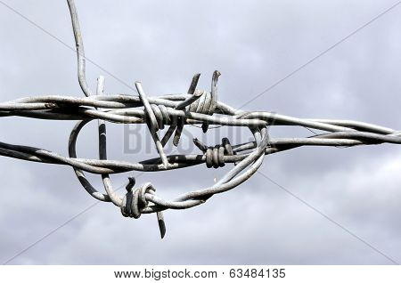 Barbed Wire