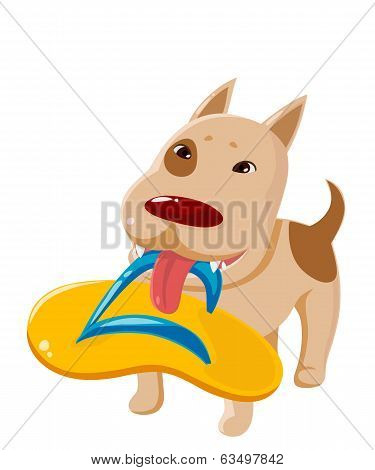 Dog Brought Slates