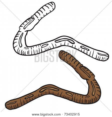 lobworm drawing