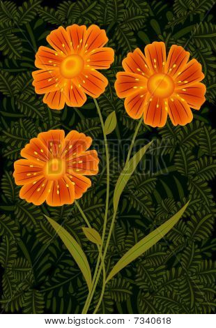 Tre Orange blomster
