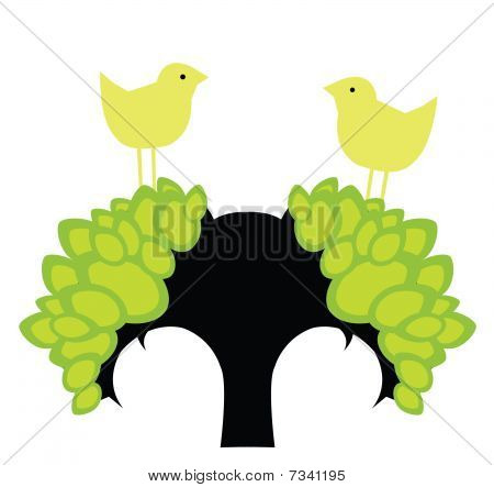 Protección del medio ambiente
