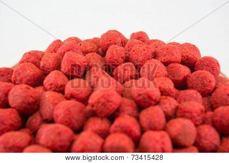 Pet Food
