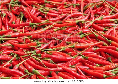 Red Hot Chilli 2