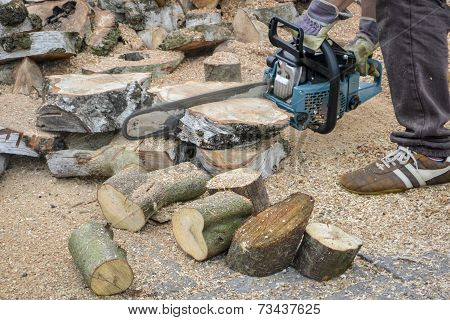 Man Sawing Logs in His Back Yard