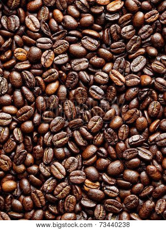 Coffee Grains