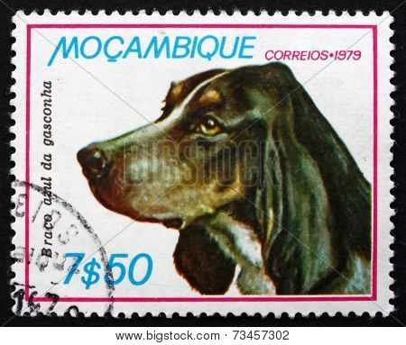 Postage Stamp Mozambique 1979 Blue Gasconha Braco, Dog