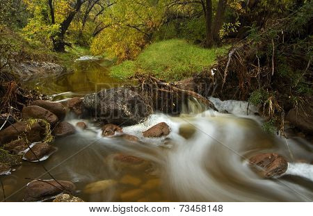 Autumn at the Creek