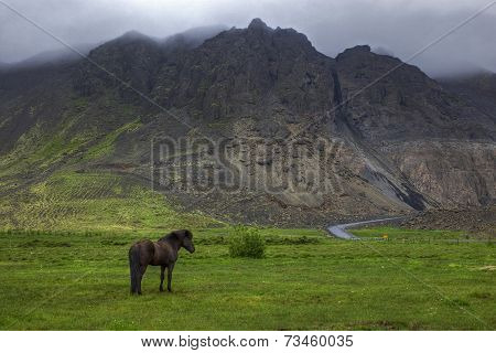 Icelandic Landscape