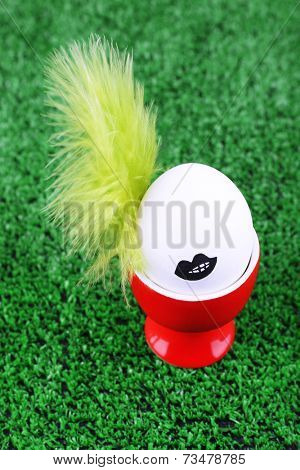 Edd in egg cup on green background