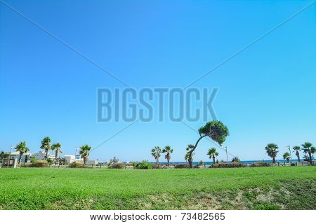 Green Coastline
