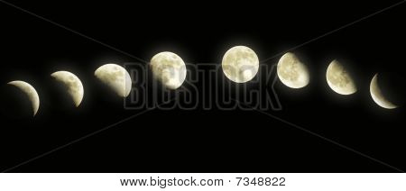 Moon Phases