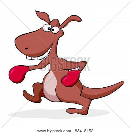 Boxing Kangaroo