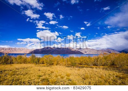Pangong Lake