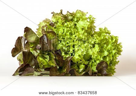 Bunch of lettuce leaves of different grades