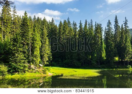 Bower On The Lake In Forest