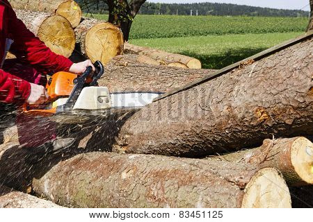 Man Sawing A Log In His Back Yard