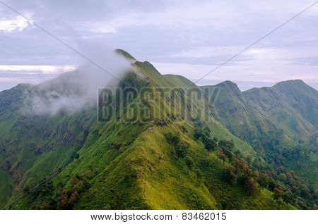 Mountains And Jungle With Mist In Foggy Weather In Thailand