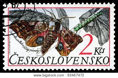 Vintage  Postage Stamp Butterfly.