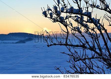 Sunset over winter landscape