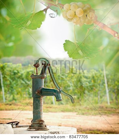 Old Hand water pump in the vineyard